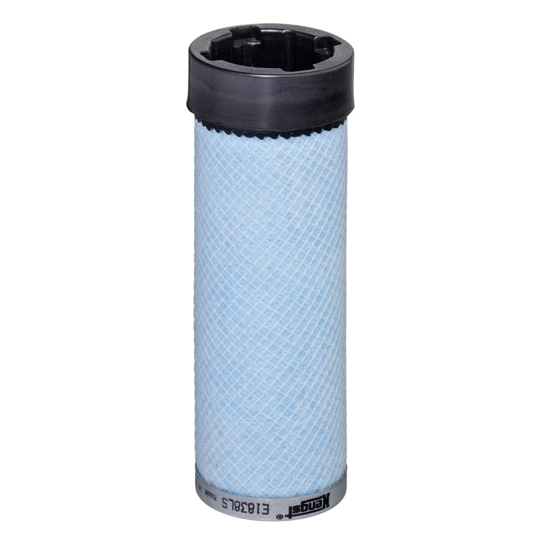 Secondary Air Filter